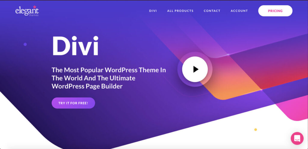 2divi wordpress theme